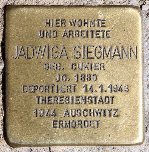 Stumbling Stones Carl-Schurz-Straße 39 #1