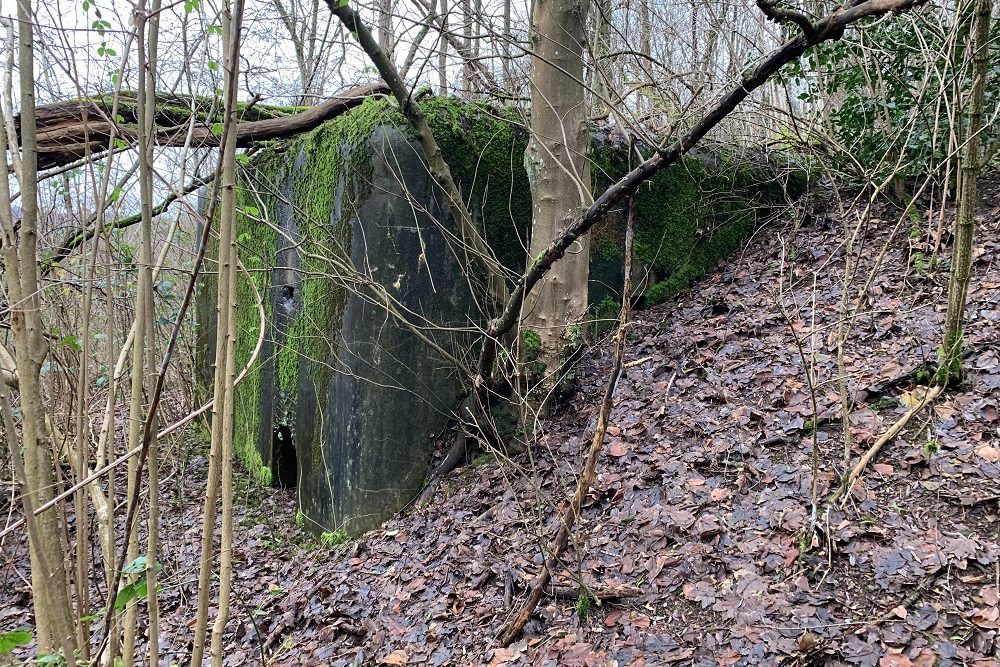 Bunker EC 1 Chaudfontaine #5