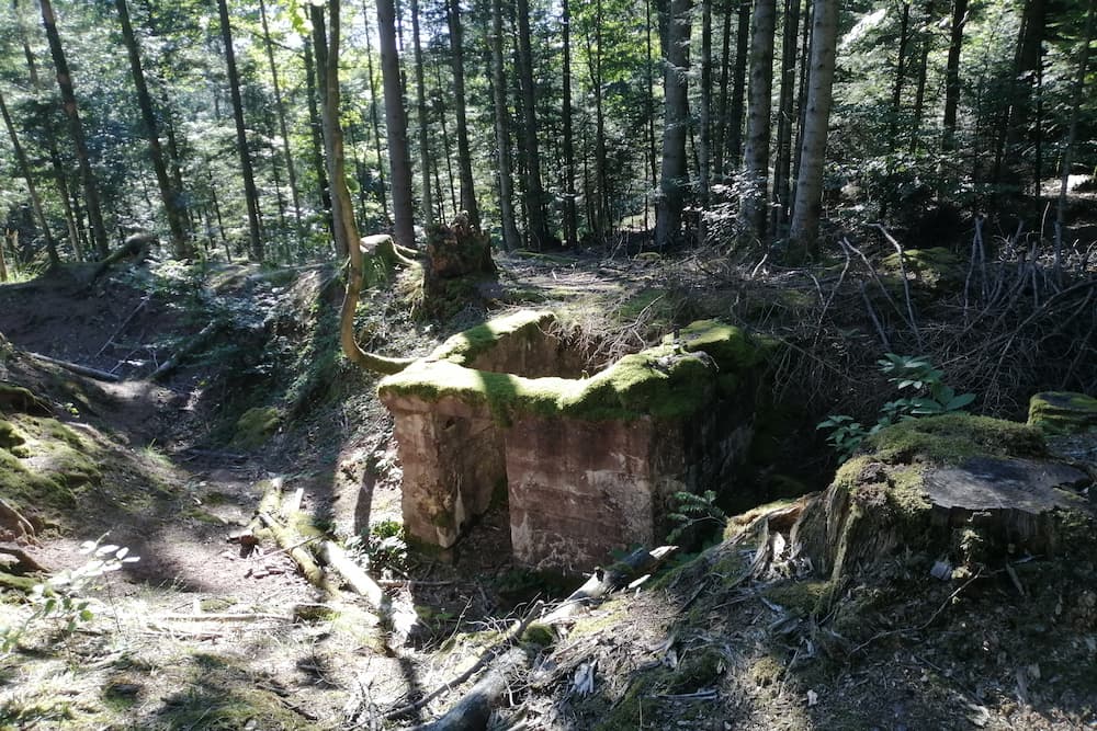 German Bunker La Chapelotte