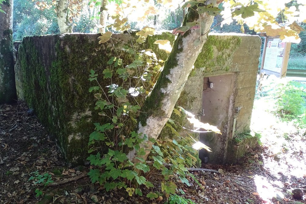 Pillbox Houffalize #3