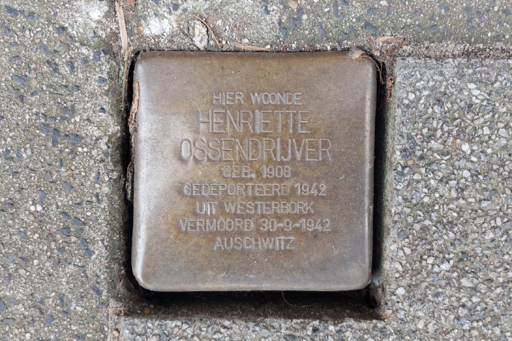 Stumbling Stone Schieweg 50a  #3