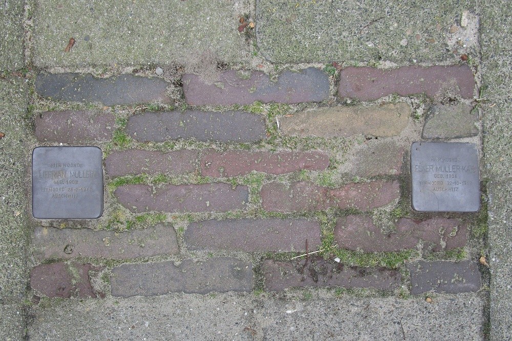 Stolpersteine Dennenbosweg 88 #1