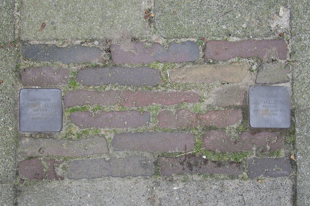 Stolpersteine Dennenbosweg 88