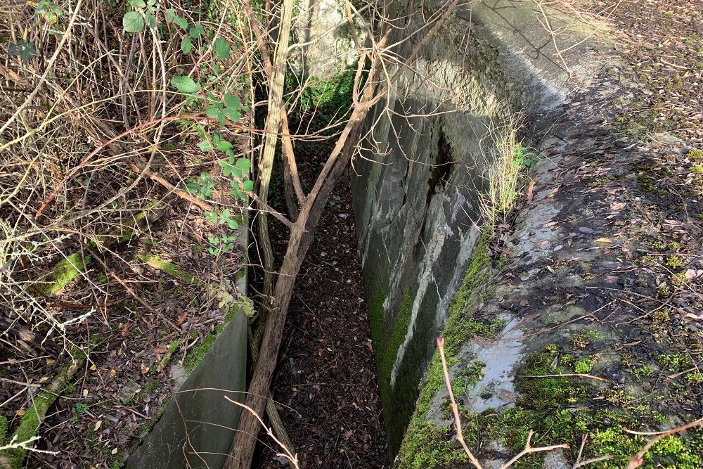 Bunker CF 4 Romsée #5