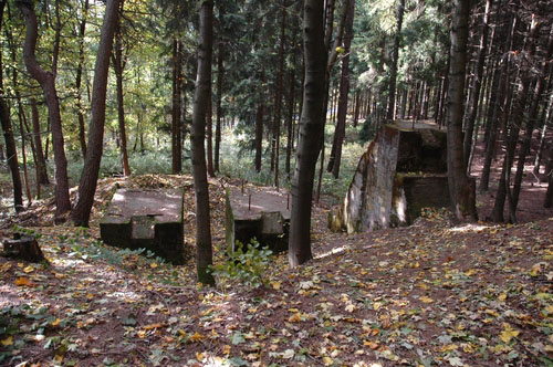 Benešov Line - Remains Stone Crusher #1
