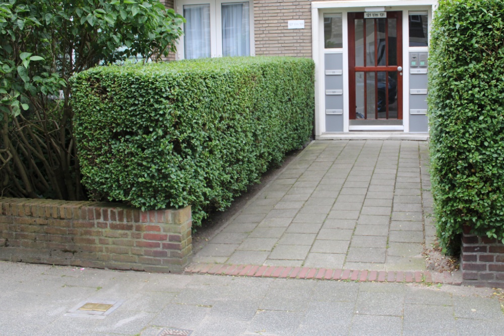 Stolpersteine Wilhelminastraat 127 #4