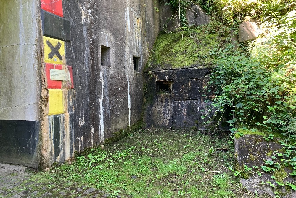 Fort d'Embourg #3