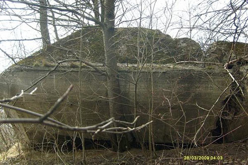 Molotov Line - Remains Casemate Sanok (J)