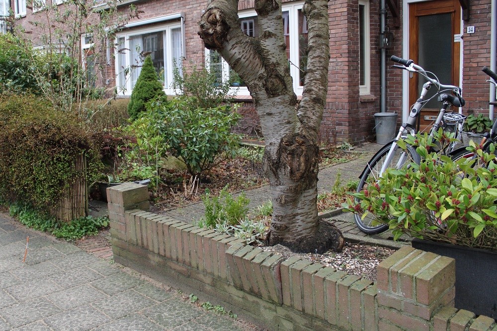 Stumbling Stone Kamerlingh Onnesstraat 54 #2