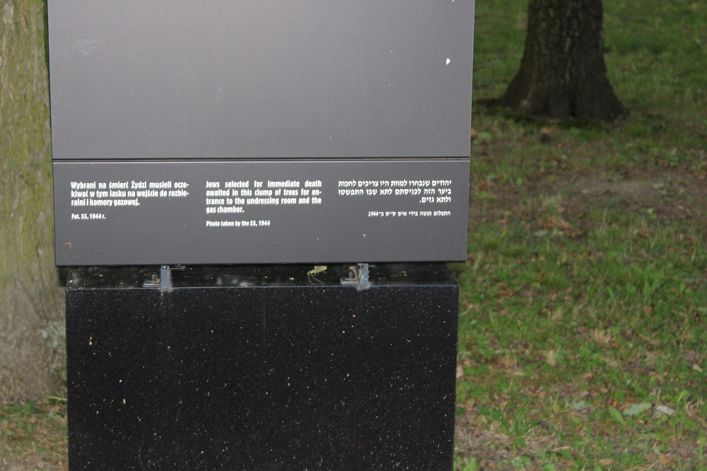 Auschwitz II Forest Waiting Place #3