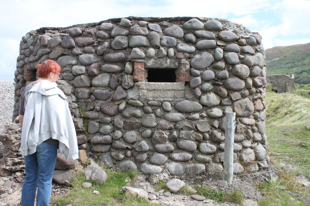 Pillbox FW3/22 Bossington #3