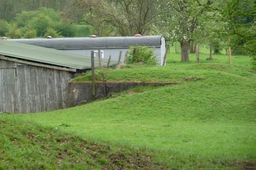 Demolished Pillbox Steinbachshochwald #2