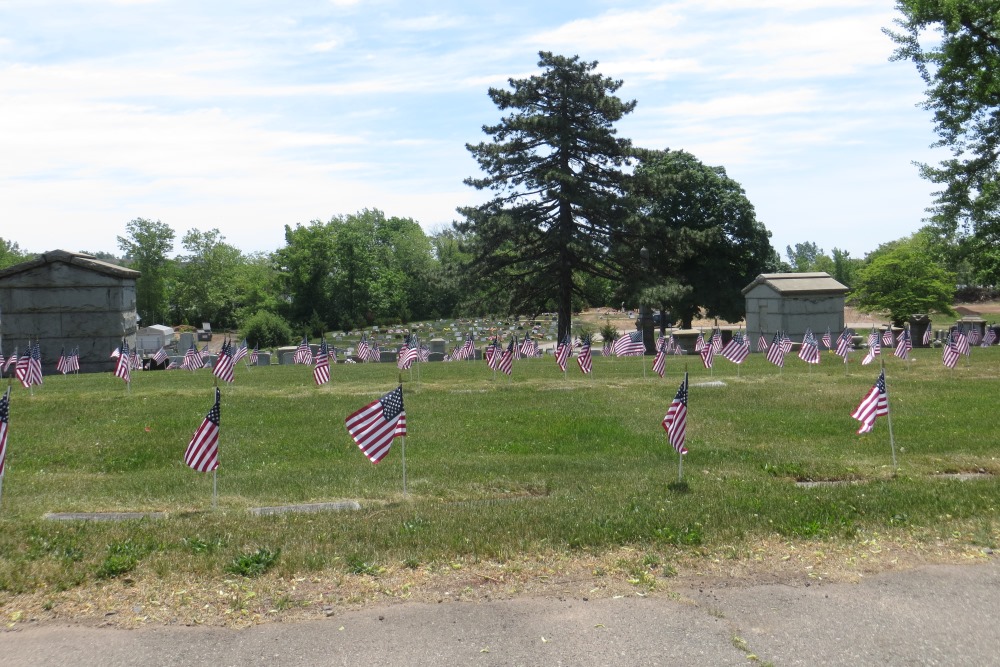 Commonwealth War Grave Arlington Memorial Park #1