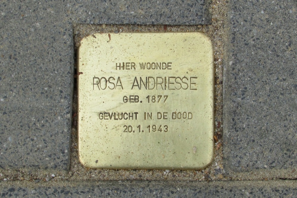 Stumbling Stone Van Bergenplein #1