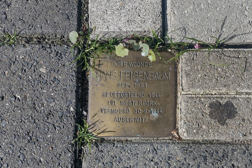 Stolperstein Langestraat 113