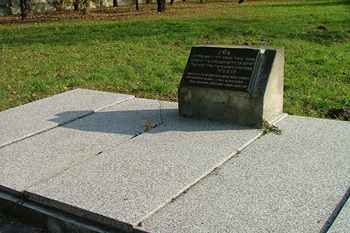 Rzeszow Jewish Cemetery #1