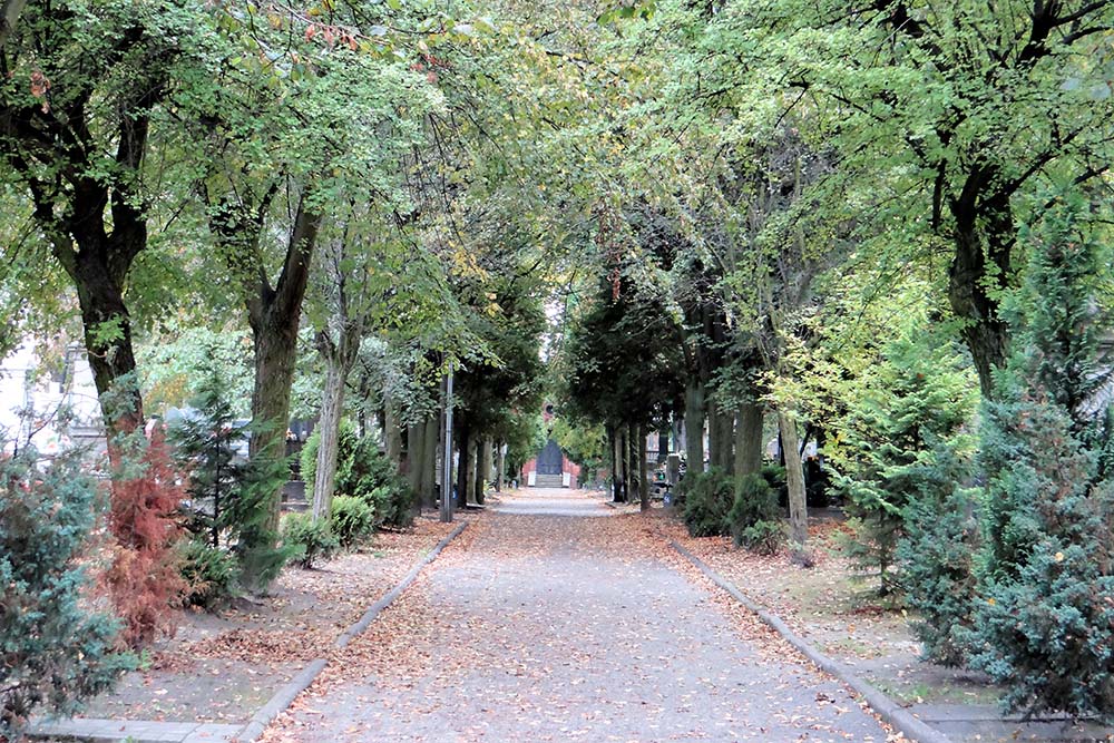 Austro-Hungarian War Graves Piotrkow Trybunalski #1