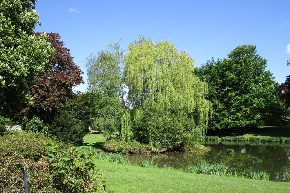 Liberty Tree Zeist #1