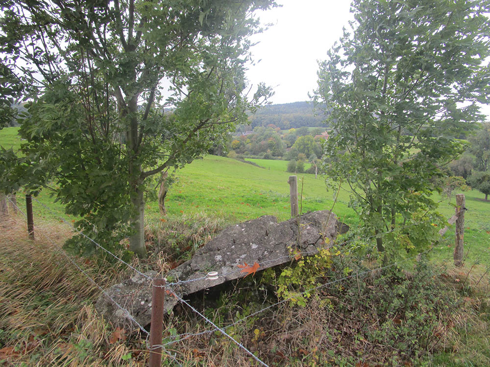 Westwall - Remains Bunker