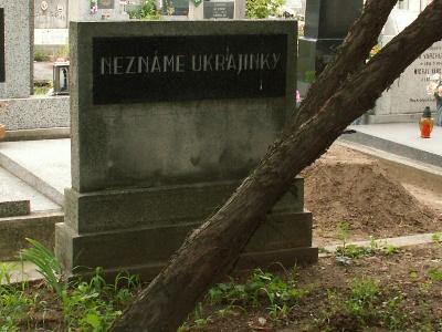 Ukranian Mass Grave Nov Zmky #2