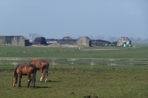 Groepsschuilplaats Type P Noordpolderkade #2