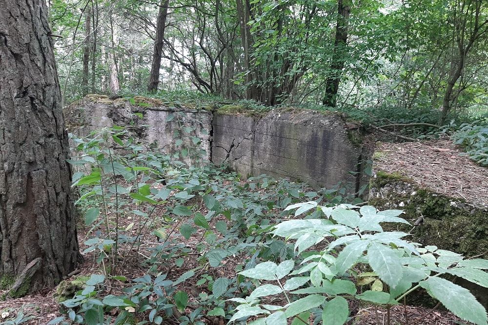 Flakstellung Zingsheim Bunker 5 #2