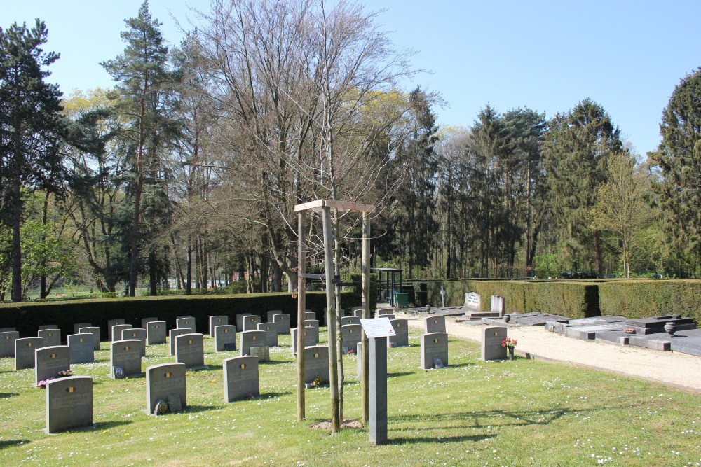 Peace Tree Linkebeek