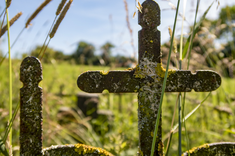 Memorial Cross Joseph Rosette #2