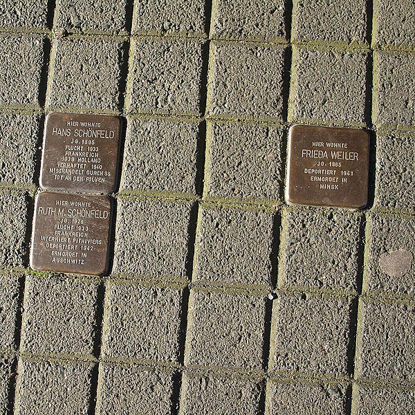 Stolpersteine Alter Markt 8 #1