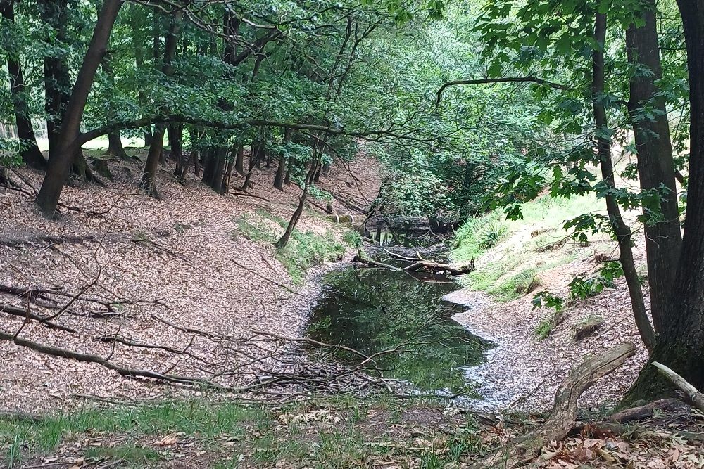 Fliegerhorst Deelen: Zinkgat