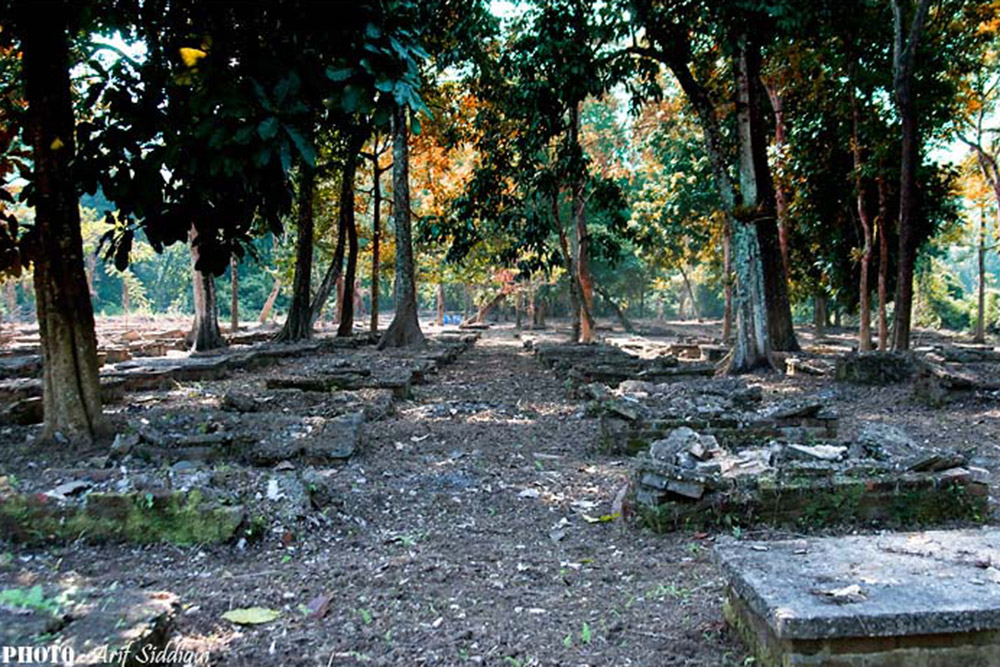 World War II Cemetery Cum Botanical Garden #1