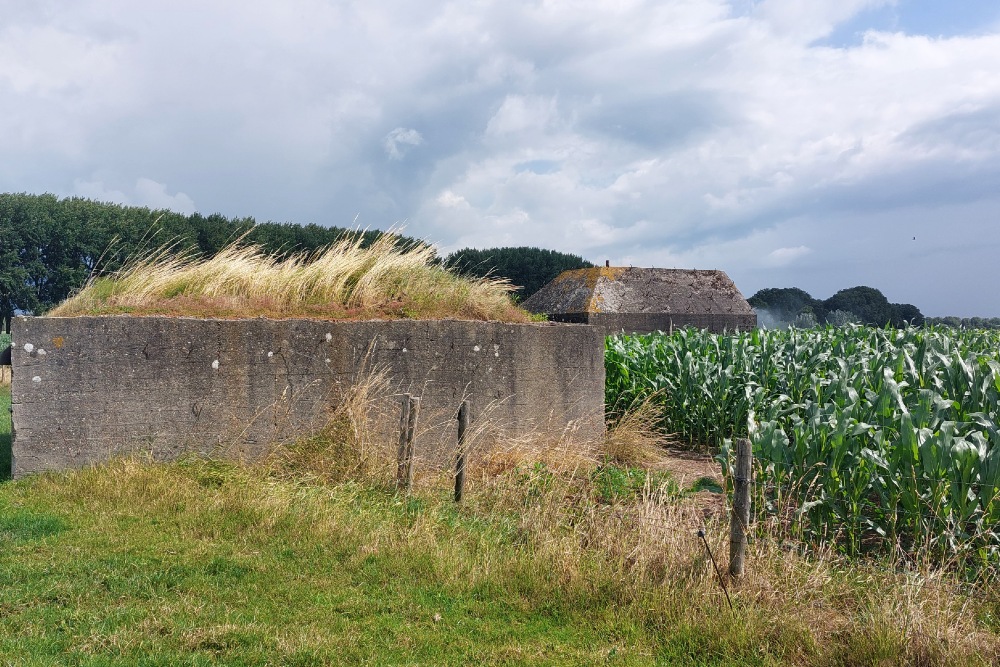 Unfinished Group Shelter Vechten #5