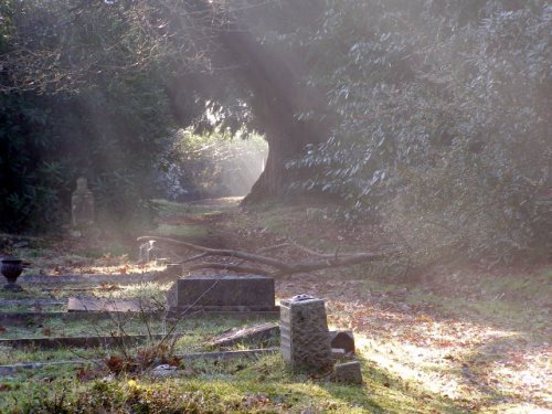 Oorlogsgraven van het Gemenebest Lyndhurst Cemetery #1