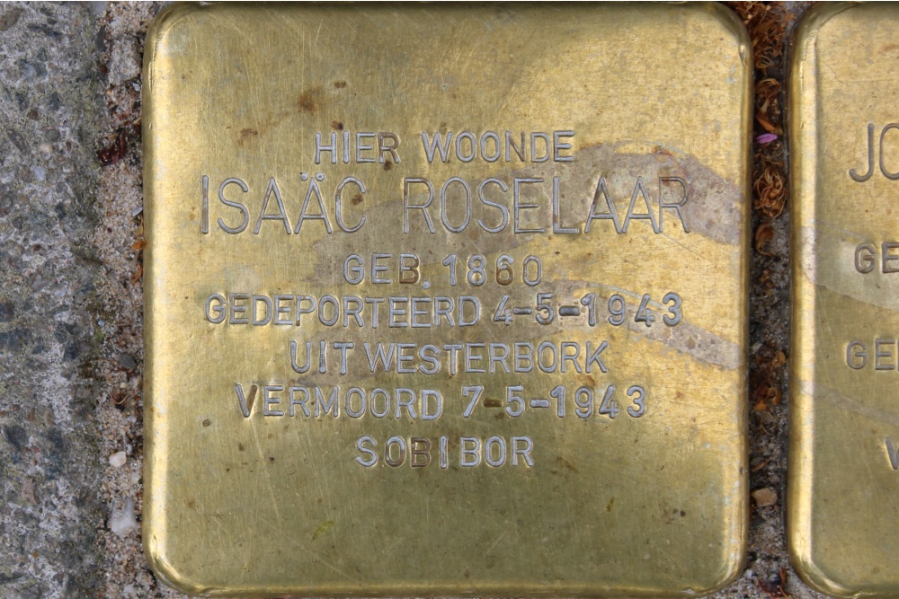 Stolpersteine Transvaalplein 20 #2