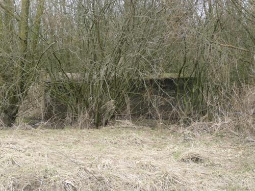 Unfinished Group Shelter Lekdijk #2