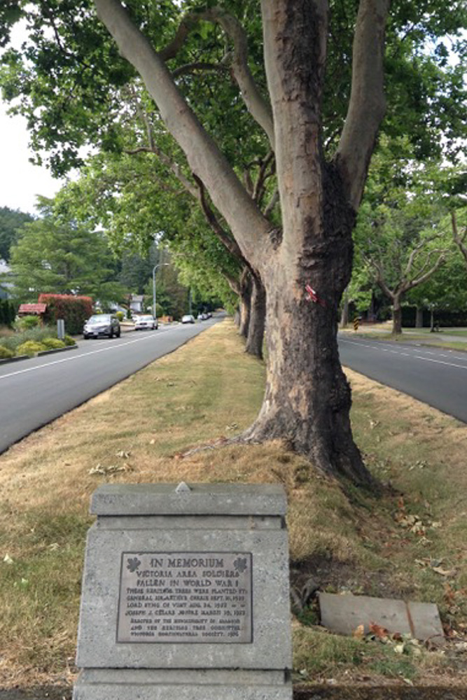 Memorial Trees Saanich #2