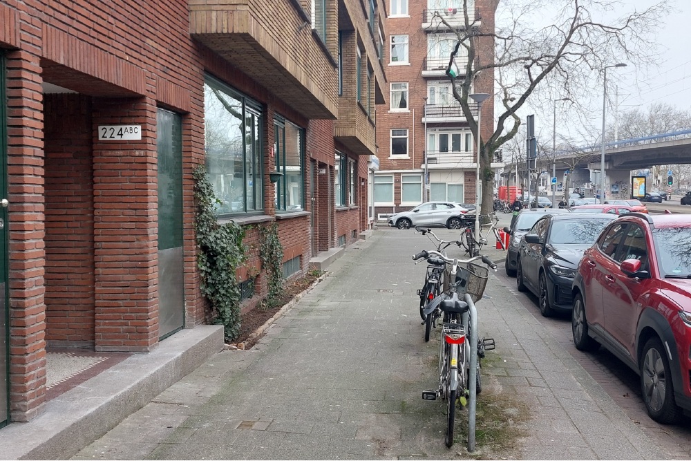 Stolpersteine Schieweg 222a #5