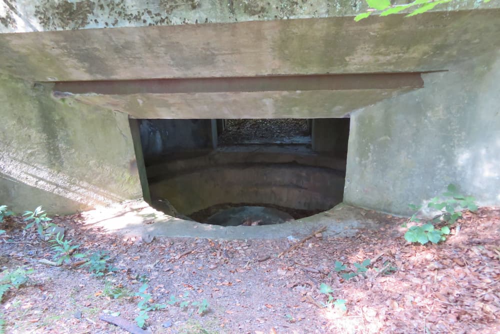 Geschutsbunkers Col du Donon