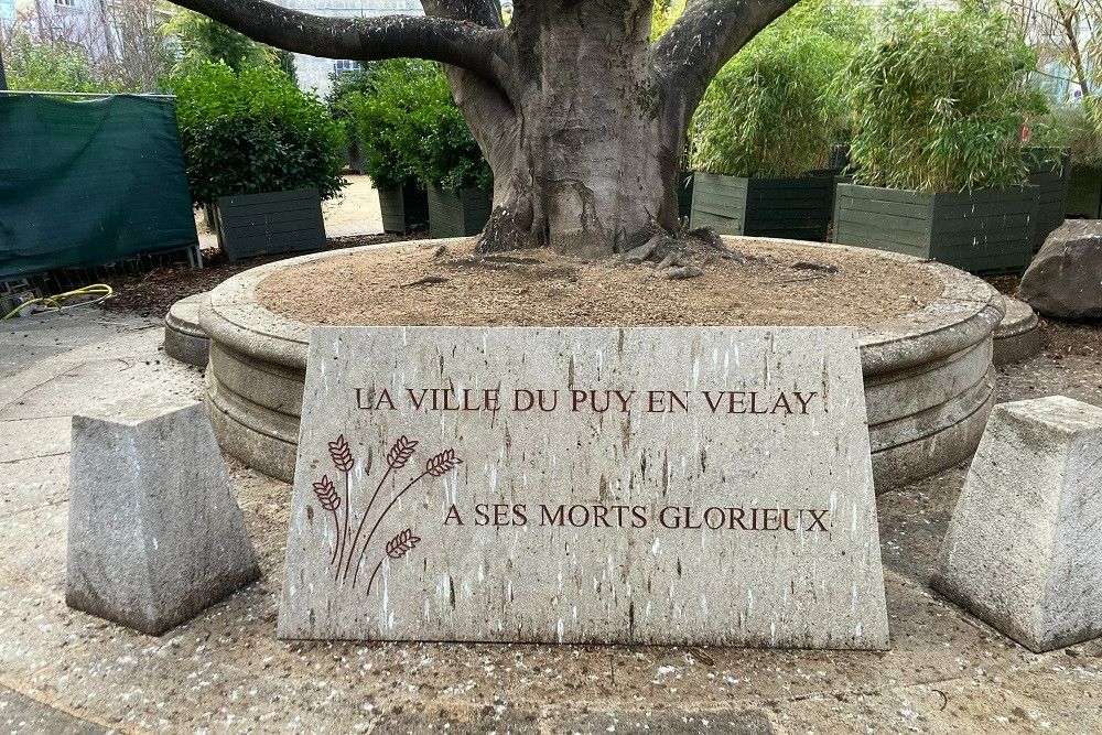 Boom Van De Vrijheid Le Puy-en-Velay #2