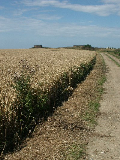 Bunker FW3/22 Happisburgh #1