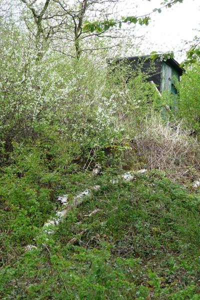 Demolished Pillbox Propsteier Wald #3