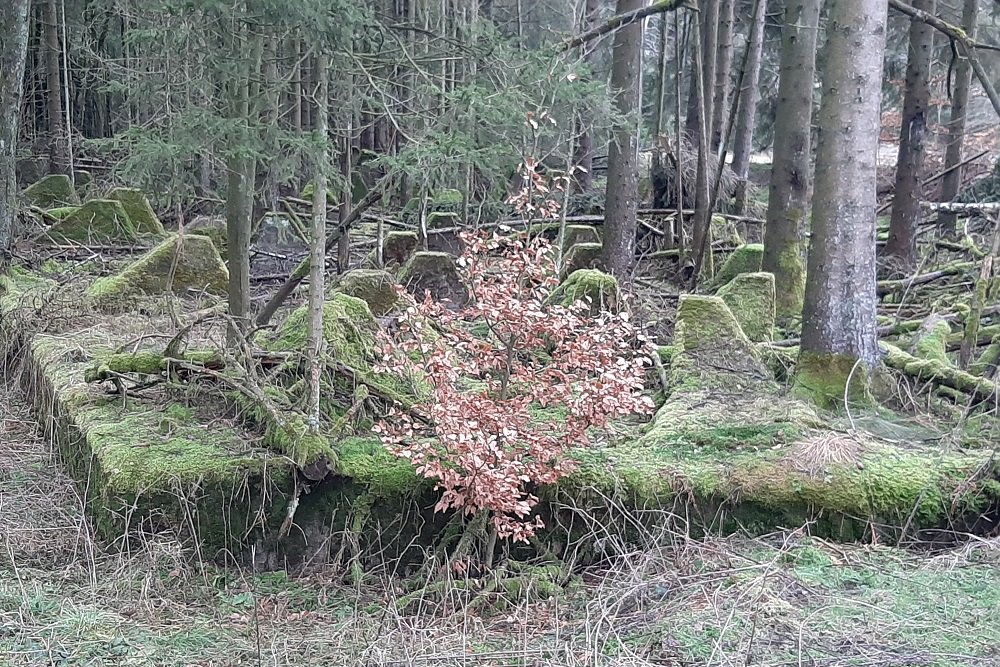 Westwall - Tank Barrier Hollerath