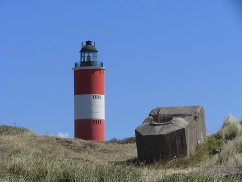 German Tobruk and Bunker Remnants Berck #4