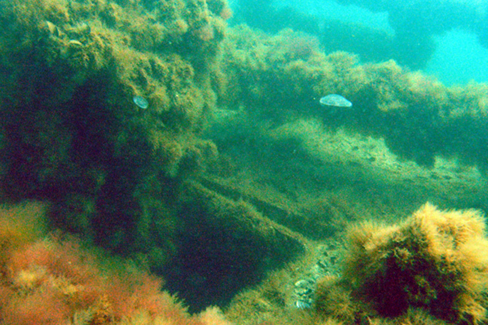 Shipwreck Russian Landing Craft