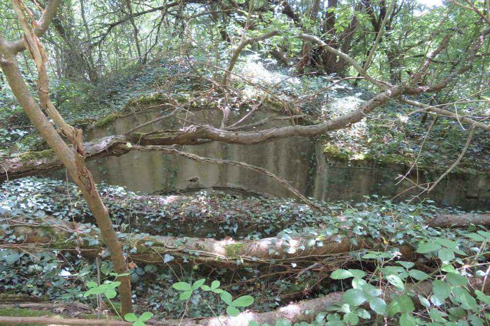 Bunker Butte de Froidmont Champey-sur-Mosselle #1