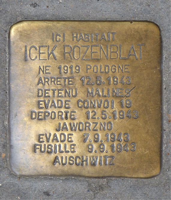 Stolpersteine Hoogstraat 96 #3