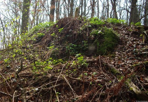 Westwall - Remains Bunker Dillingen #1