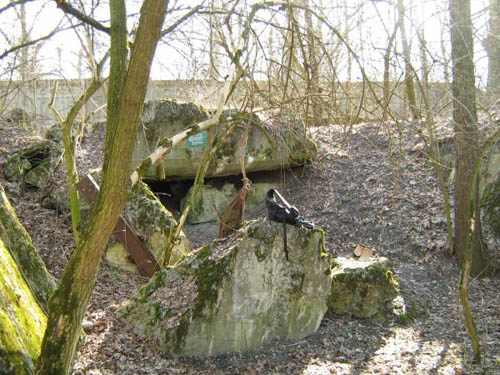 Stalin Line - Remains Casemate No. 409