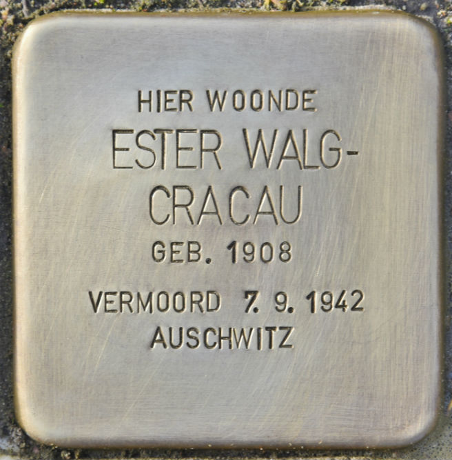 Stolpersteine Van Steenbergenlaan 50