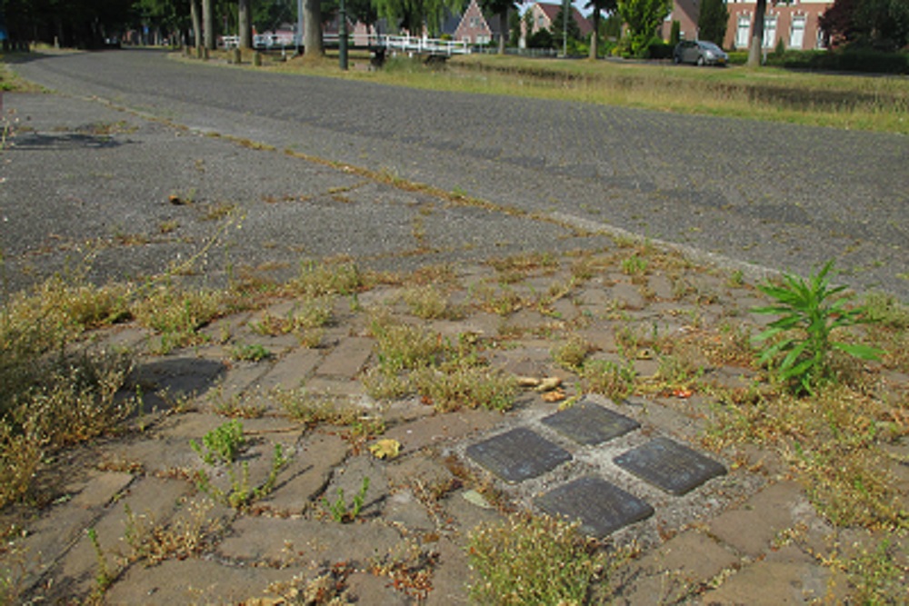 Stolpersteine Hendrik Westerstraat 53 #4